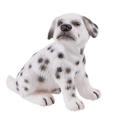 Dalmatin štěně Sugar