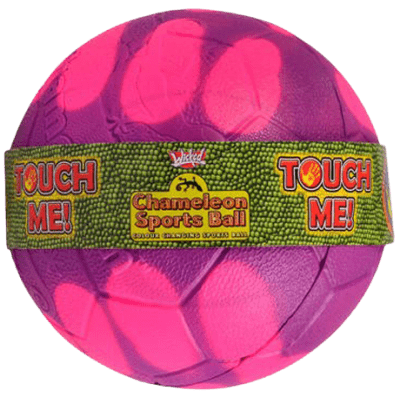 EPEE Czech - Chameleon fotbalový míč 6