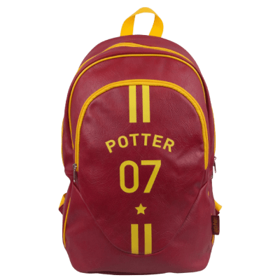 EPEE merch - Harry Potter Sportovní batoh Famfrpál
