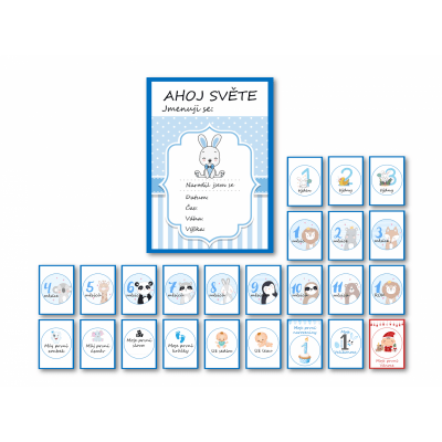 KidPro - Milníkové kartičky Zajíček pro chlapečka CZ