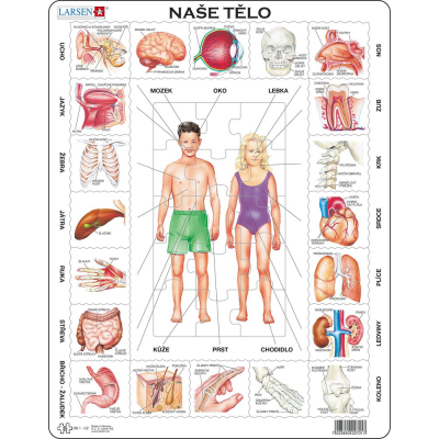 Larsen - Puzzle Naše tělo 35 dílků