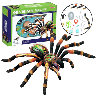 SPARKYS - 4D Model Anatomie - Pavouk Tarantule