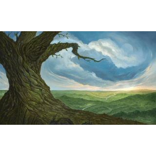Kraken Wargames Playmat - Forest (61 x 35 cm)