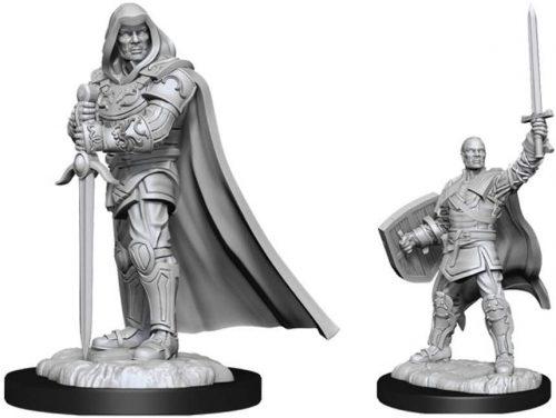 WizKids D&D Nolzur's Marvelous Miniatures - Human Paladin Male