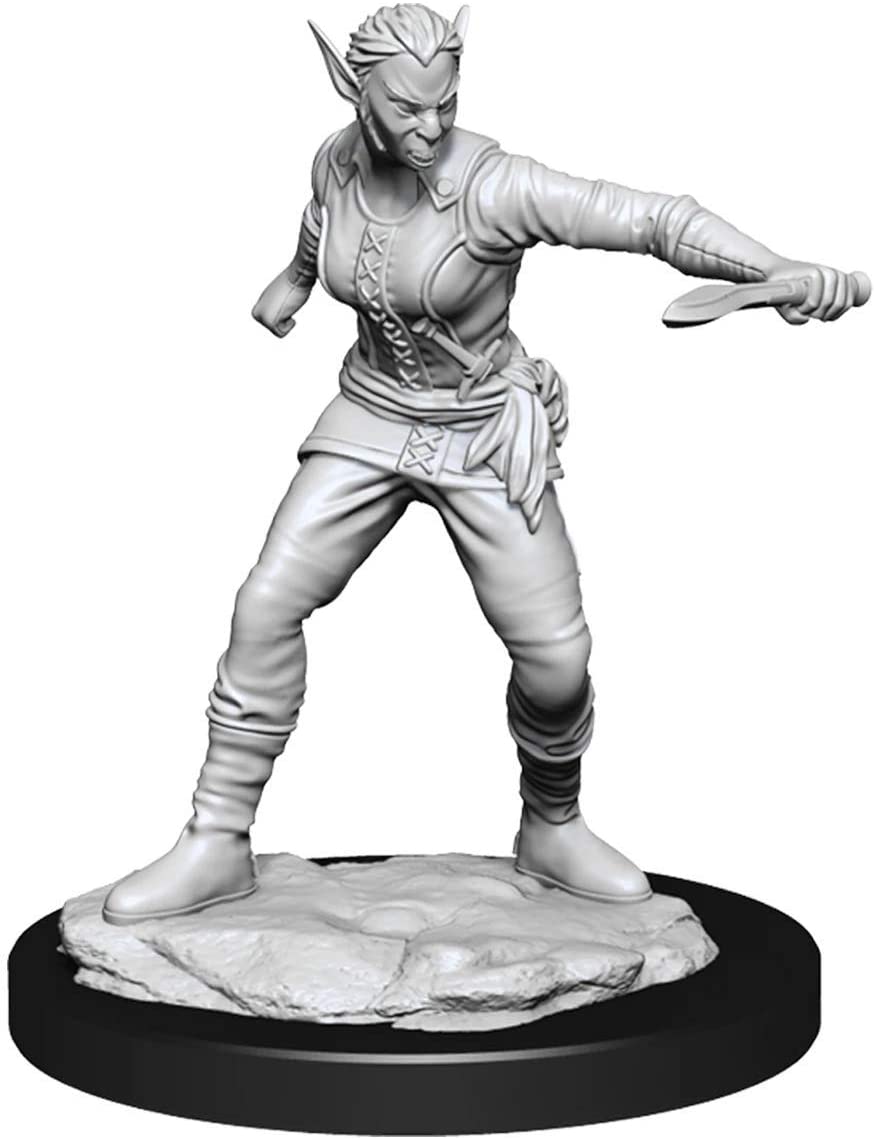 WizKids D&D Nolzur's Marvelous Miniatures - Shifter Rogue Female