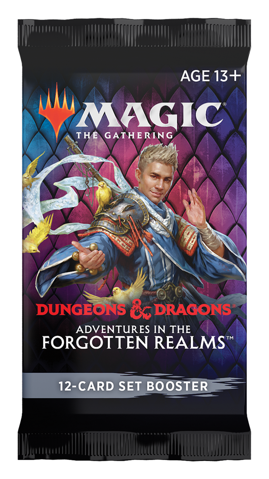 Wizards of the Coast Magic The Gathering - Adventures in the Forgotten Realms Set Booster