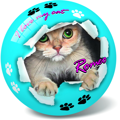 Míč kočička/pejsek 23 cm - Roxy