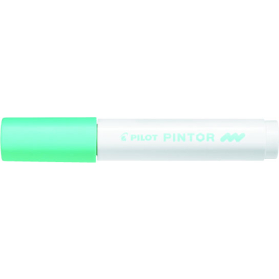 PILOT Pintor