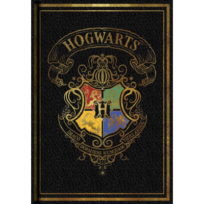 Blok A5 Harry Potter Colourful černý