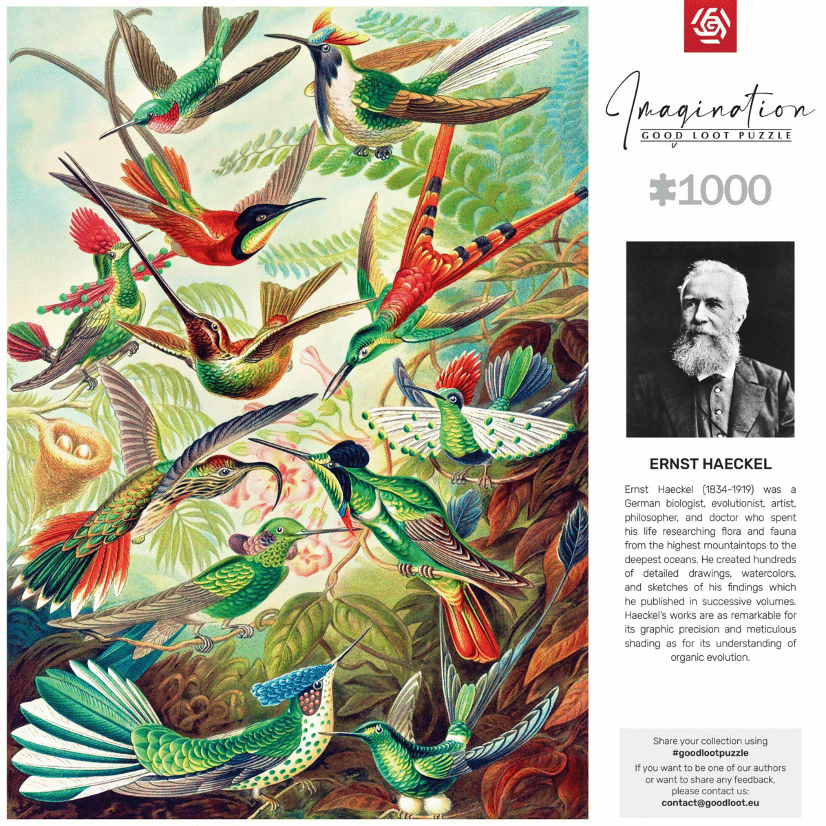 Good Loot Puzzle Imagination Ernst Haeckel Hummingbirds Kolibry Puzzles 1000 ks