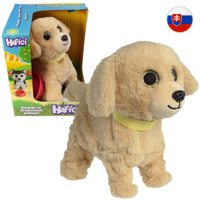 Hafík II. Lumpík-retriever SK