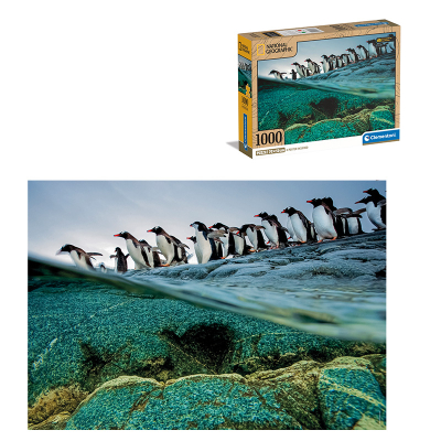 Puzzle 1000 dílků Compact nat geo - gentoo penguins