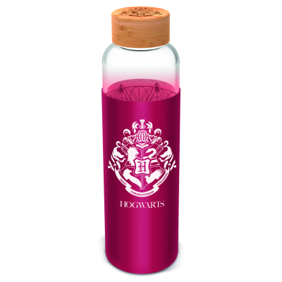 Skleněná láhev s návlekem 585 ml