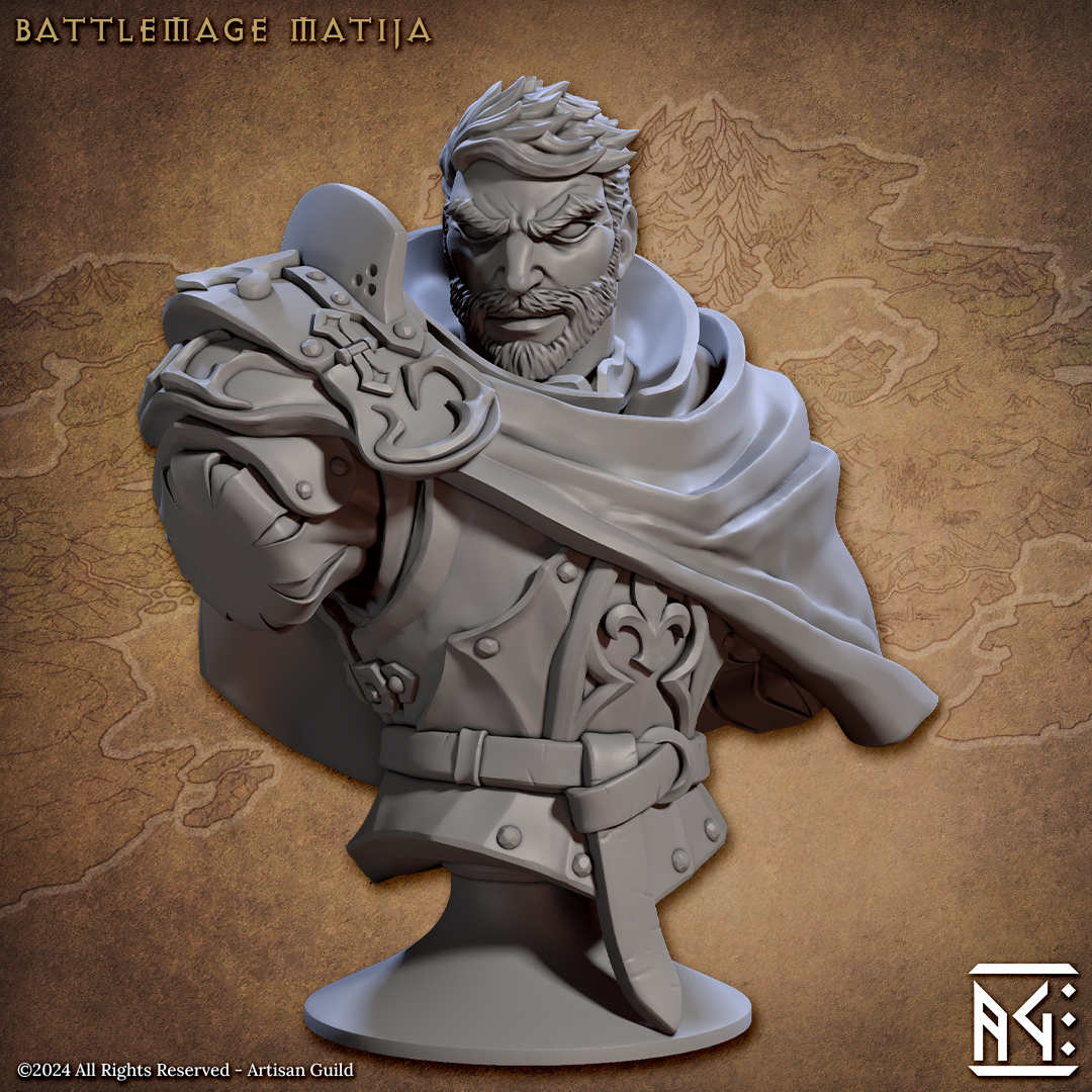 Artisan Guild Merged Battlemage Matija Vanguard Fighters