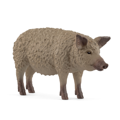 Zvířátko - prase mangalica