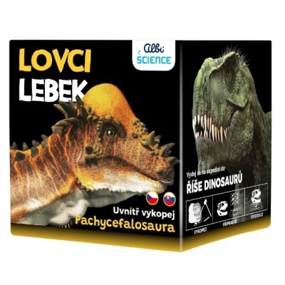 Lovci Lebek - Pachycephalosaurus