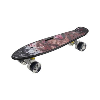Skateboard Afrika 54