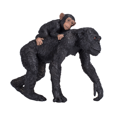 Šimpanz s mládětem